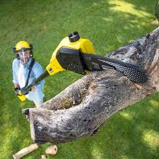Landscape Design and Installation in Cassville, MO